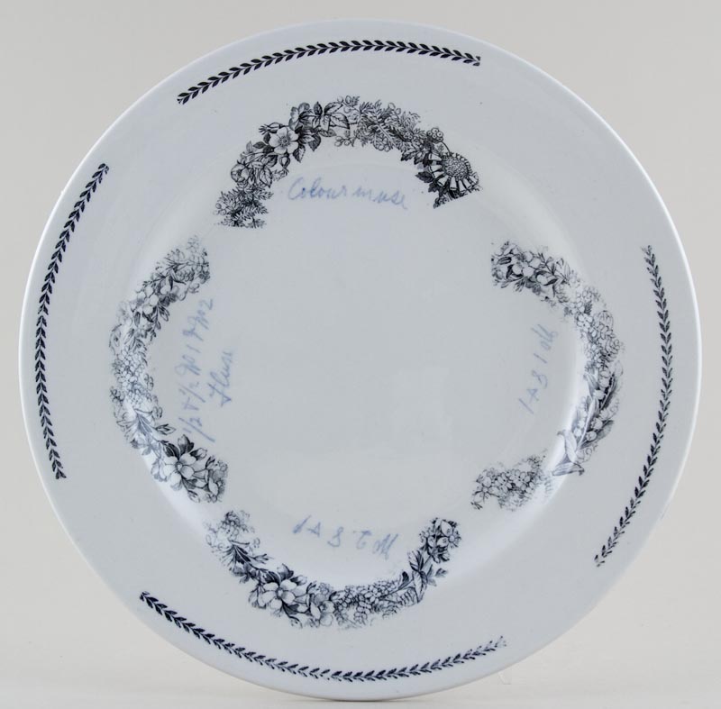 Plate sample c1923